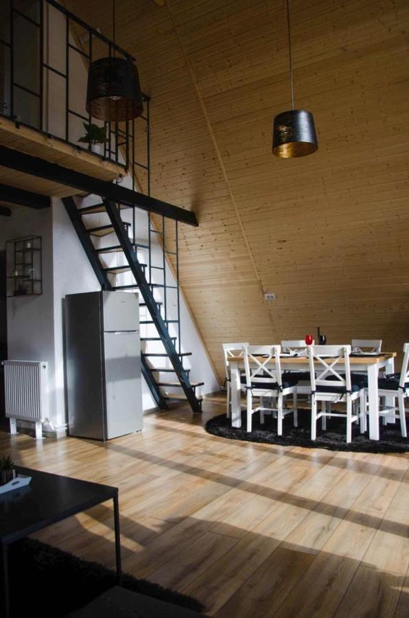 Вилла Zenith A-Frame Straja Lupeni  Экстерьер фото